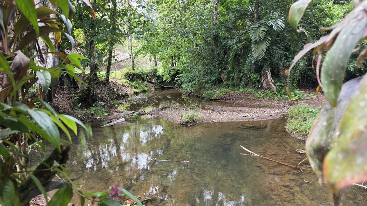 VILLA SHANTI: LUXURY JUNGLE RETREAT IN OJOCHAL, COSTA RICA – 1.17 ACRES, photo 24