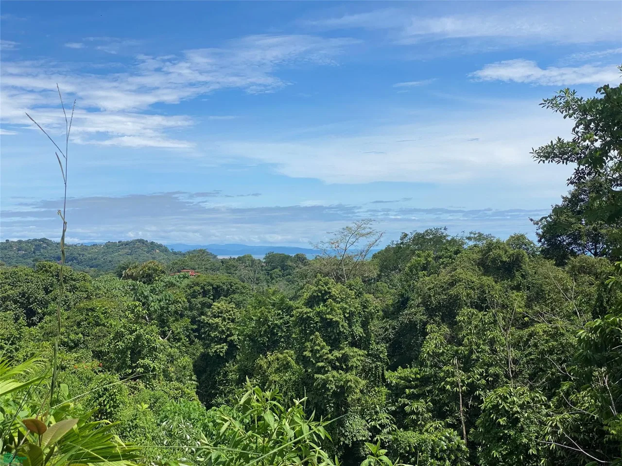 Exquisite Jungle property with Ocean View, Ojochal, Puntarenas, Puntarenas 60501