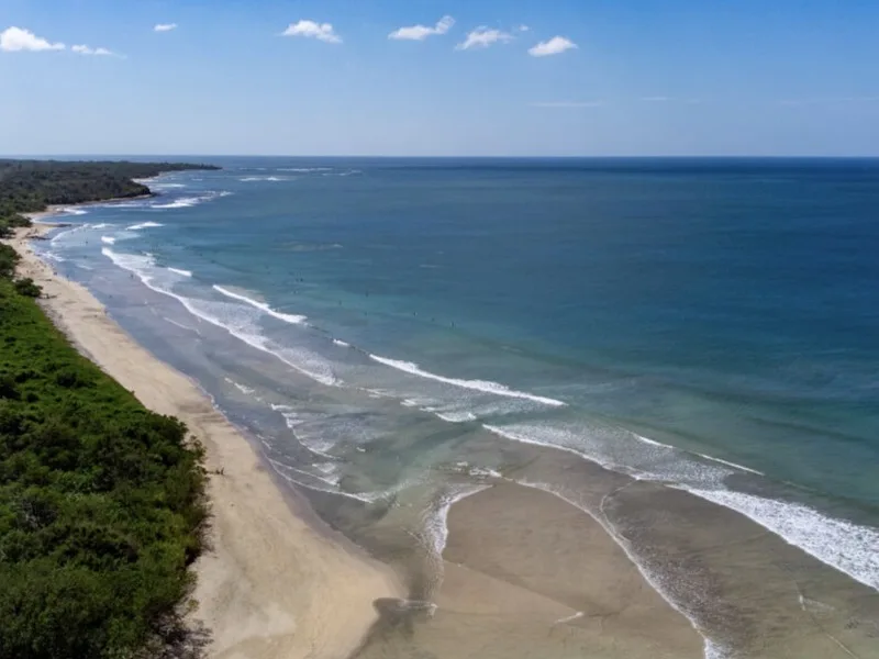 Land For Sale in Avellanas, photo 4