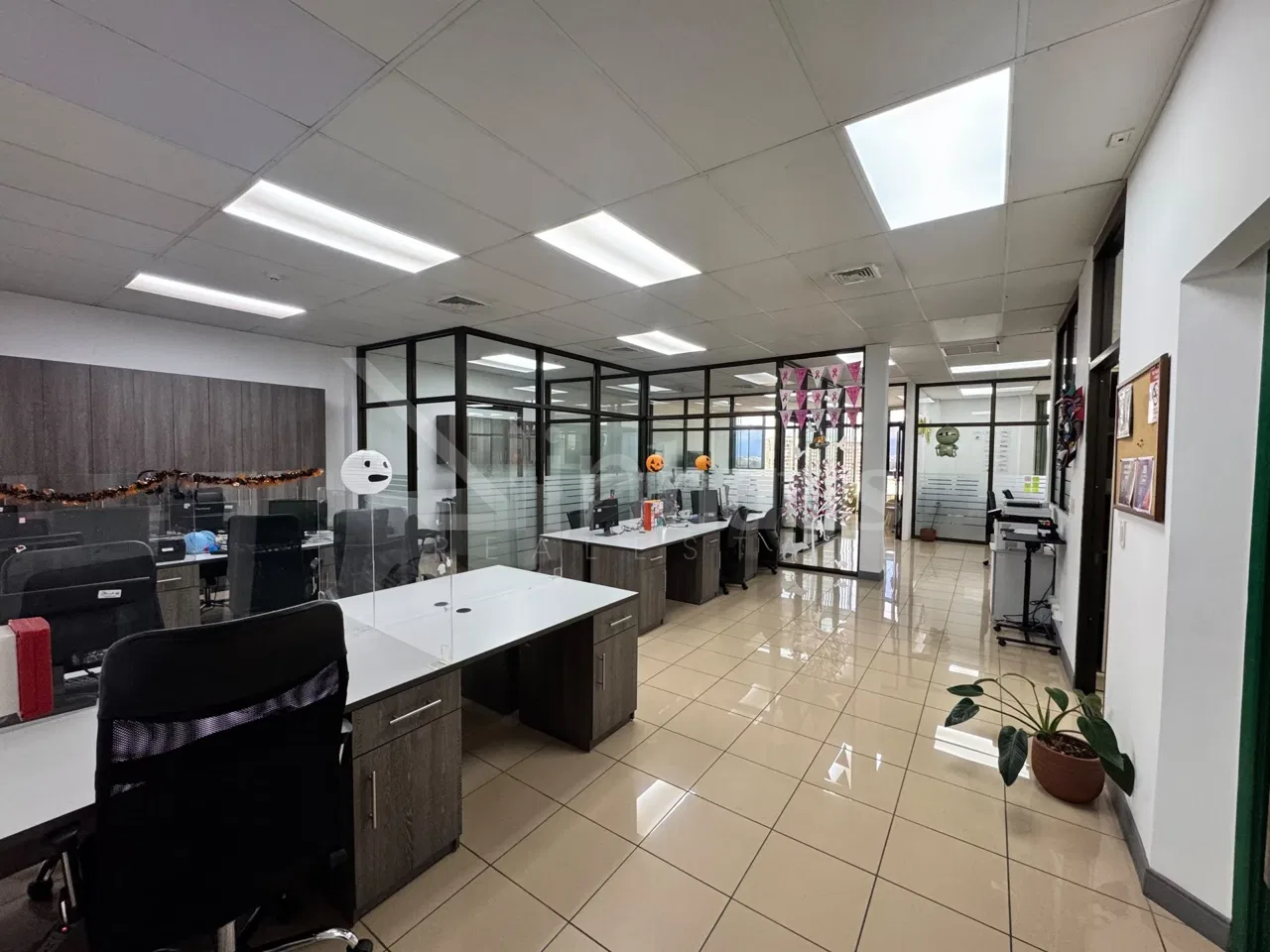 Oficinas en alquiler