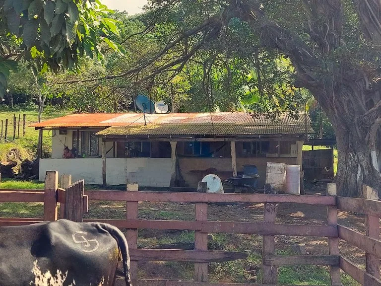 HACIENDA LOMBARDIA : Fully Operating Livestock Business, photo 9