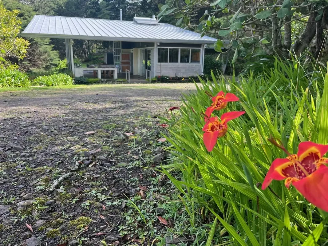 Contemporary mountain home (2021), fully furnished and with appliances included, in Jardín de Dota, Zona de los ..., photo 2