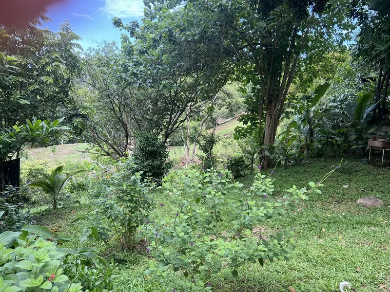 3 Bed Single Family Homes For Sale in Samara