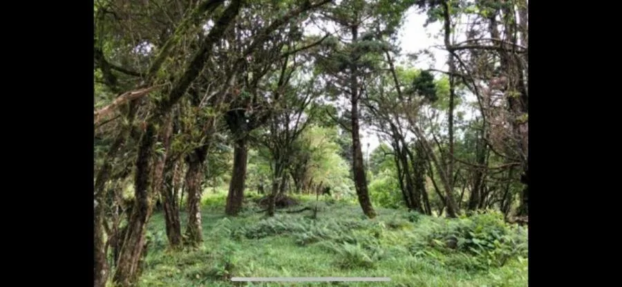 Terreno en San Isidro de Heredia (Santa Elena) 9,867 mtrs2 - Venta en San Isidro, photo 5