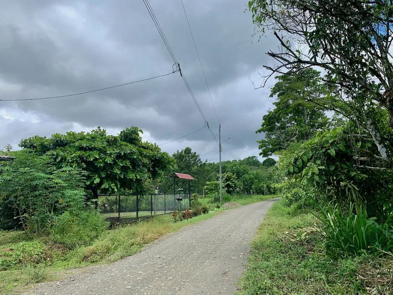 Home Construction Site in Puerto Jimenez, photo 3