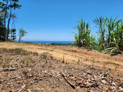 Lote de 2.4 acres con Vistas al mar Y Río increíble, photo 5