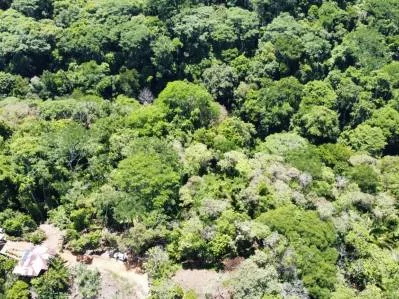 Lote de 2.4 acres con Vistas al mar Y Río increíble, photo 7