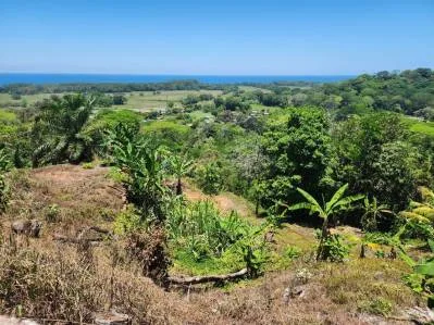 Lote de 2.4 acres con Vistas al mar Y Río increíble, photo 8