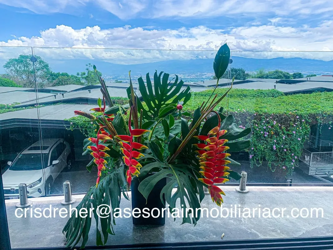 Se vende Casa con Spa en San Antonio de Escazú, no muebles., photo 10