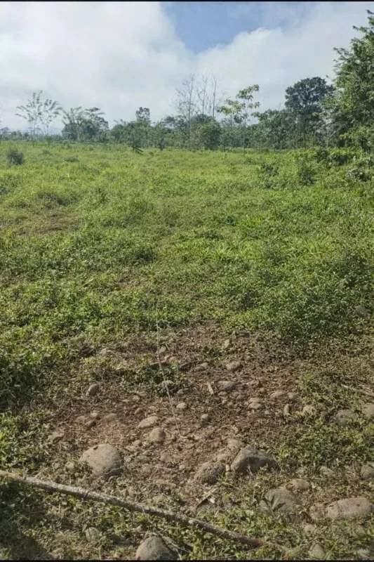 LAND FOR SALE, TICARI, HORQUETTES, SARAPIQUI, photo 2