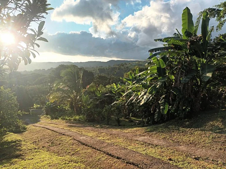House in Río Piedras, photo 14