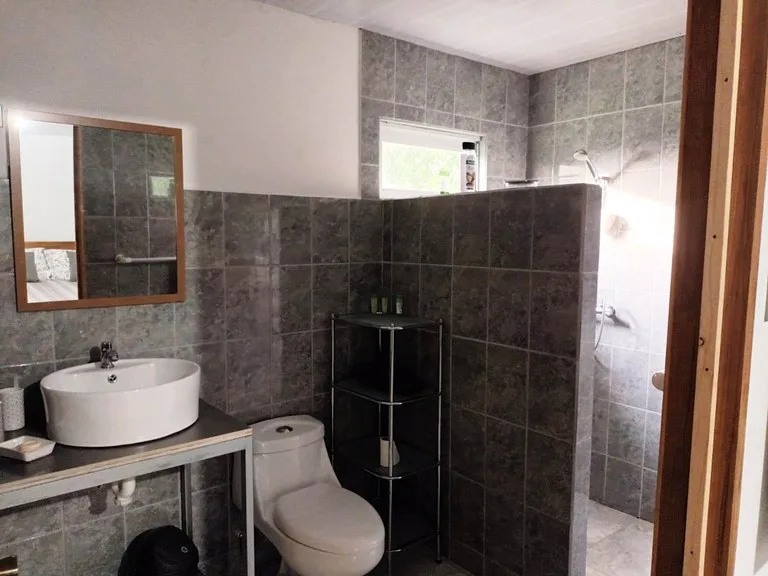 House in Río Piedras, photo 3