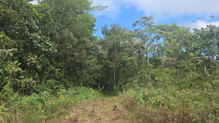 Expansive Year-Round Green Agricultural Property with Rolling Hills and a River – One Hour from Liberia, photo 10