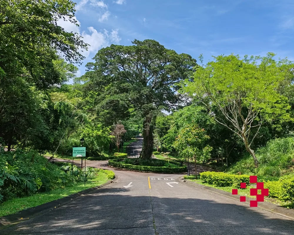 Corner Lot for Sale – Hacienda Los Bambúes Condominium, photo 15