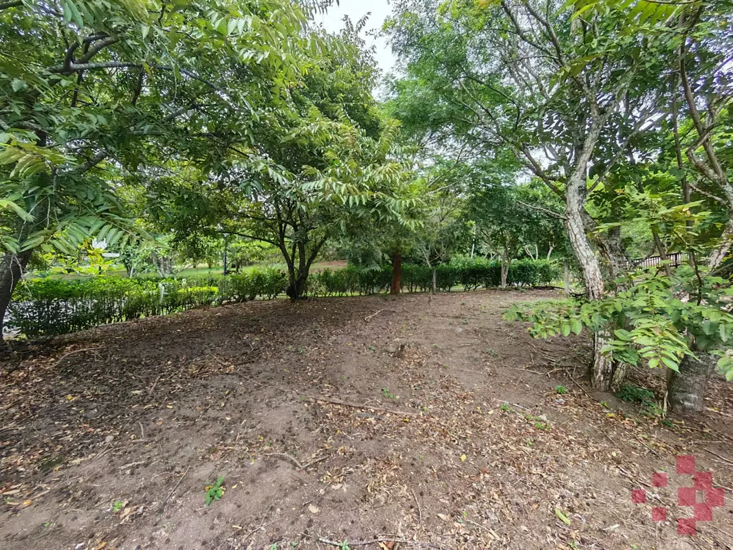 Corner Lot for Sale – Hacienda Los Bambúes Condominium, photo 6