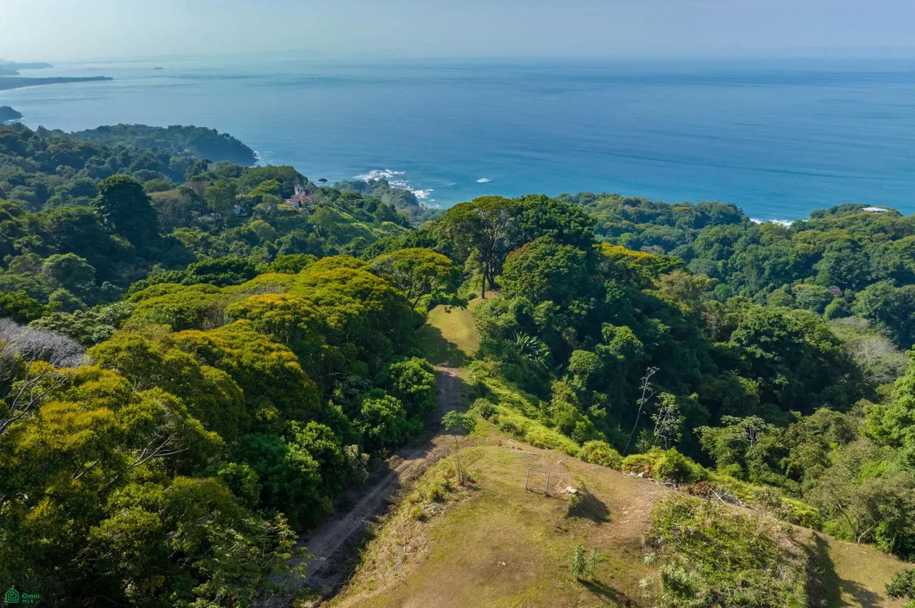 Dominical, Bahía Ballena, Puntarenas 60504
