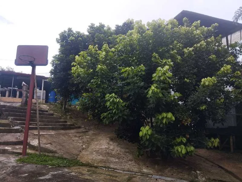2 Bed Single Family Homes For Sale in Perez Zeledon, photo 2