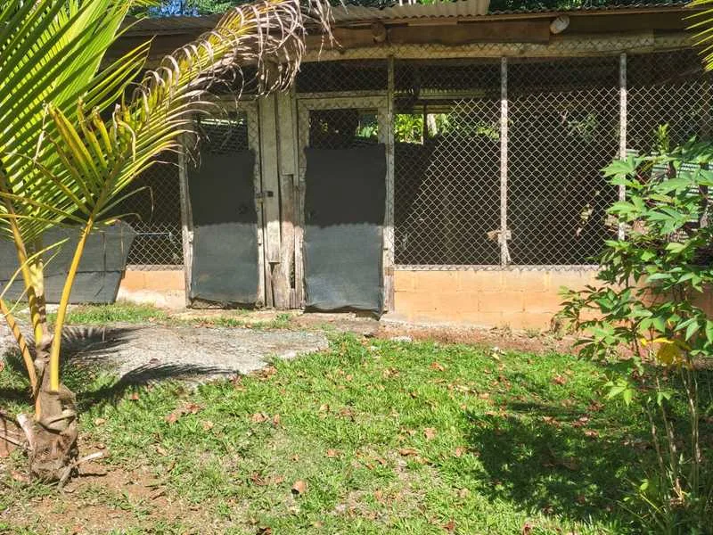 2 Bed Single Family Homes For Sale in Perez Zeledon, photo 10