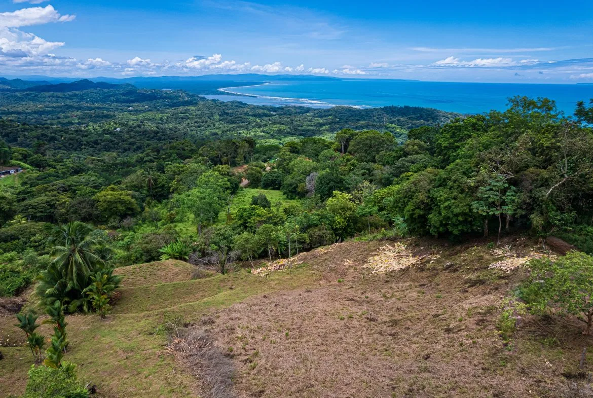 STUNNING OCEAN-VIEW LOT WITH TRANQUIL SURROUNDINGS – 0.5 ACRES, photo 18