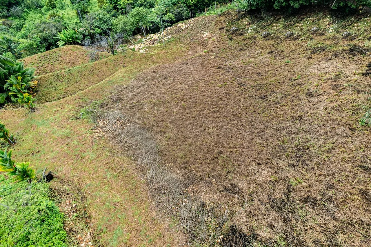 STUNNING OCEAN-VIEW LOT WITH TRANQUIL SURROUNDINGS – 0.5 ACRES, photo 23