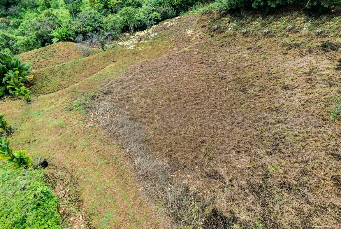STUNNING OCEAN-VIEW LOT WITH TRANQUIL SURROUNDINGS – 0.5 ACRES, photo 24
