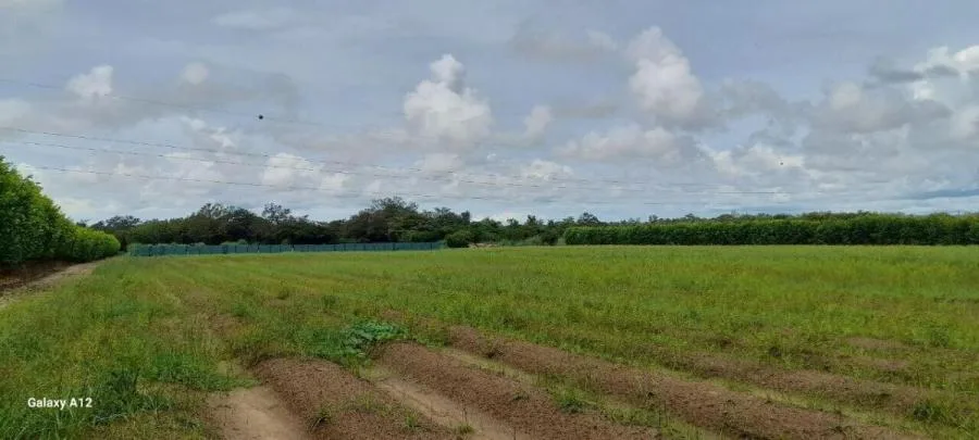 Venta de Lote + 2 Casas y Bodega en Liberia de Guanacaste. RAH 26-794 - Venta en Liberia