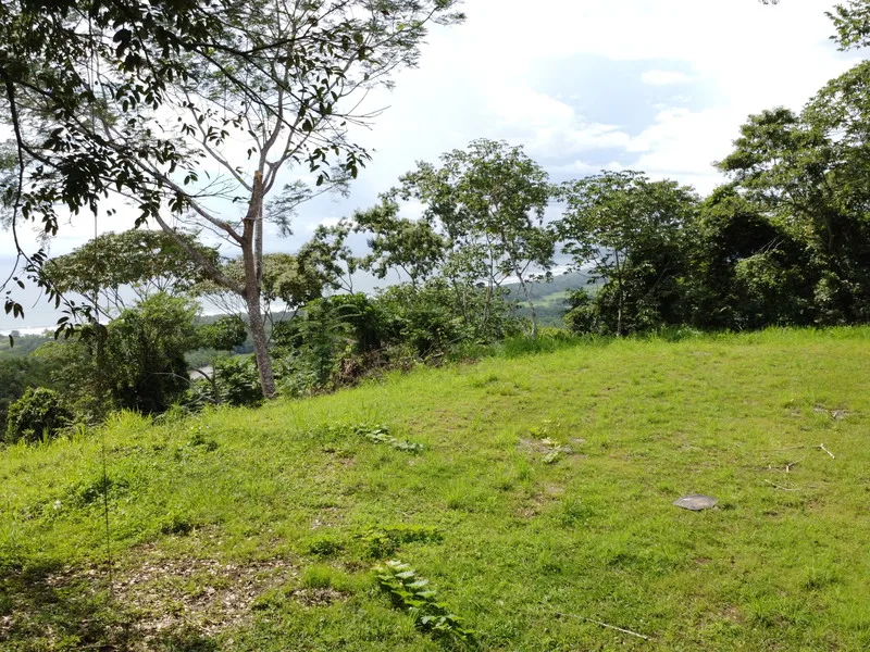 Land For Sale in Playa Coyote, photo 13