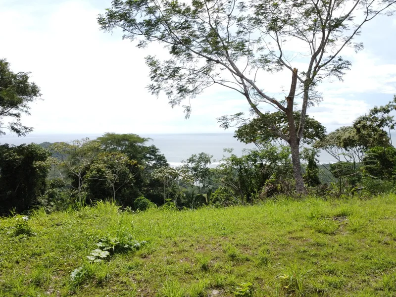 Land For Sale in Playa Coyote, photo 14