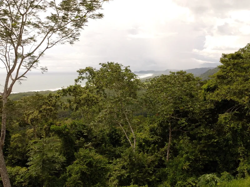 Land For Sale in Playa Coyote, photo 4