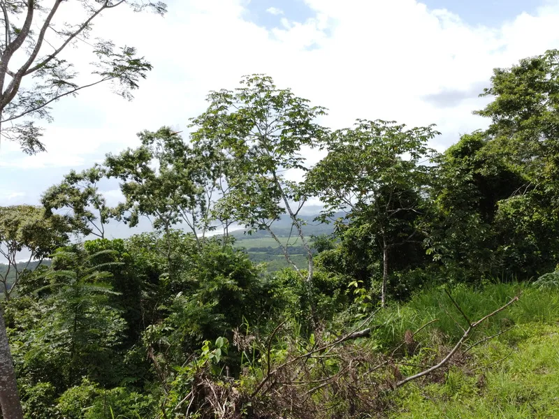Land For Sale in Playa Coyote, photo 10