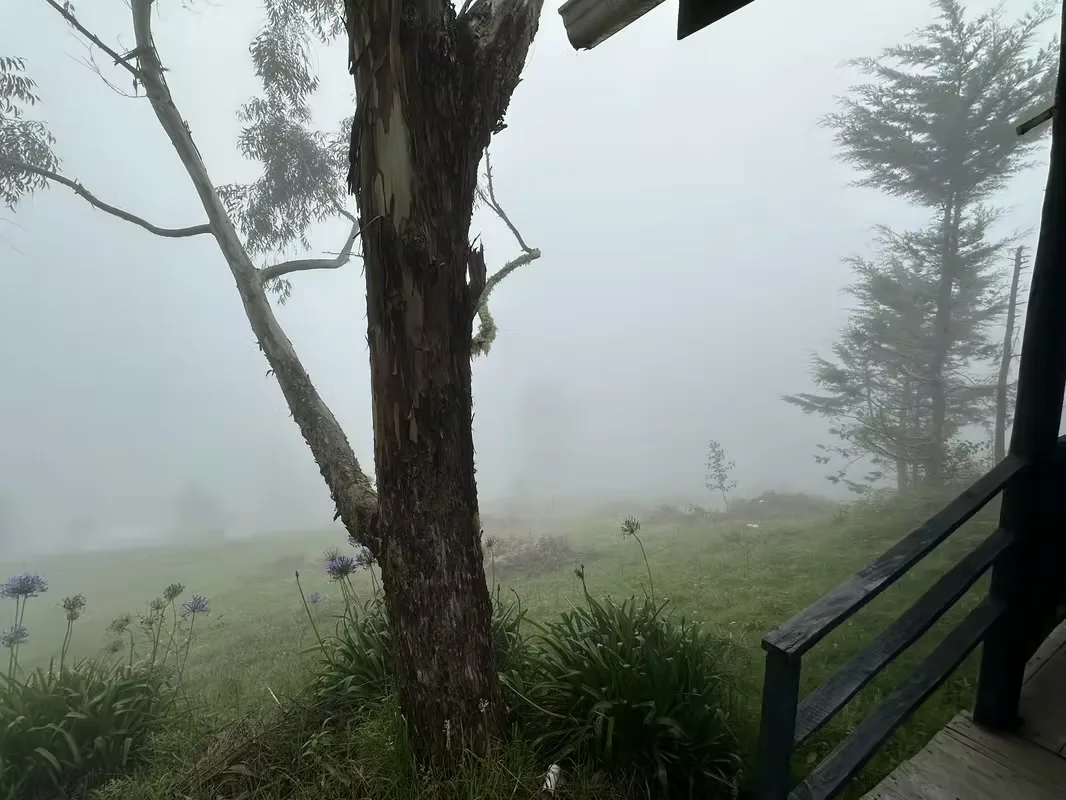 Descubre paz, seguridad y potencial de inversión en Jardín de Dota, reconocido como uno de ..., photo 16