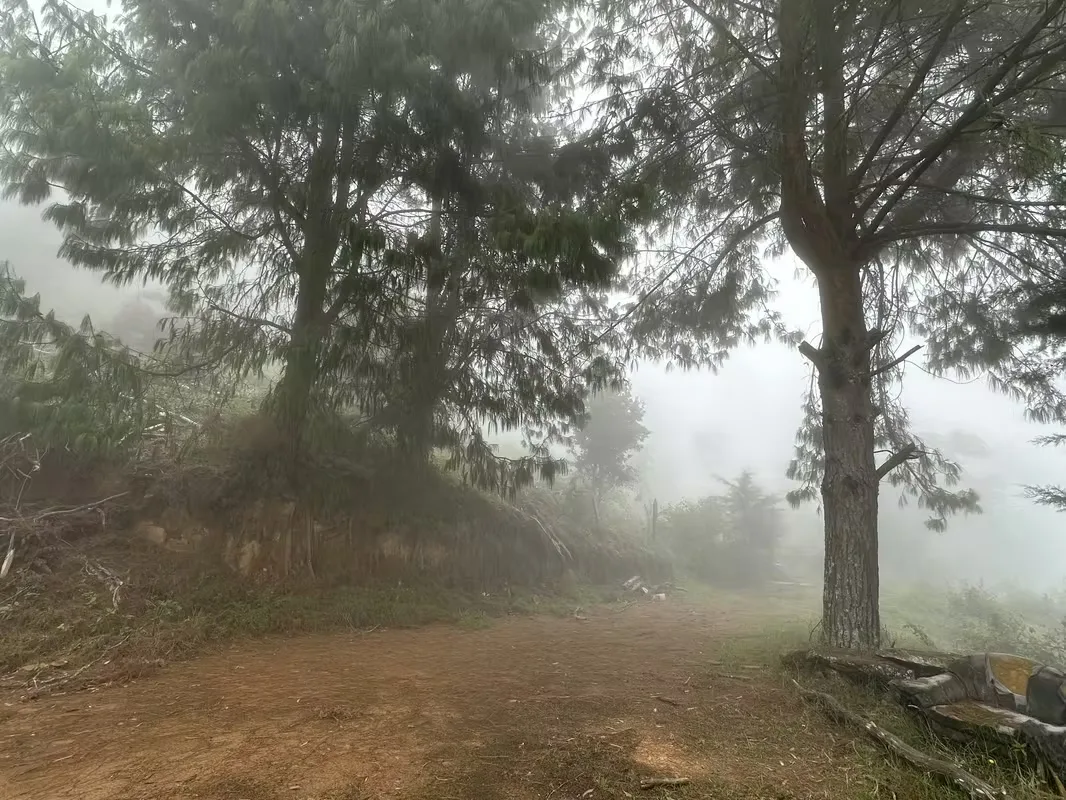 Descubre paz, seguridad y potencial de inversión en Jardín de Dota, reconocido como uno de ..., photo 5