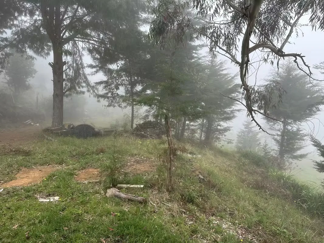 Descubre paz, seguridad y potencial de inversión en Jardín de Dota, reconocido como uno de ..., photo 8