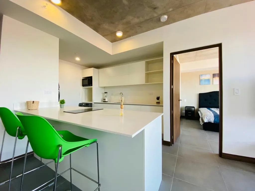 APARTAMENTO AMUEBLADO EN VENTA | CONDOMINIO VURÁ, LA URUCA, photo 3