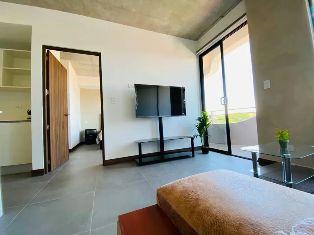 APARTAMENTO AMUEBLADO EN VENTA | CONDOMINIO VURÁ, LA URUCA, photo 5