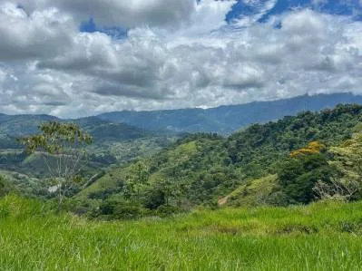 DEVELOPMENT PROPERTY WITH ONE BEDROOM HOUSE, IN THE HIGHEST OF PLATANILLO – 148 ACRES, photo 26