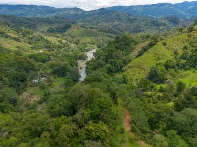 DEVELOPMENT PROPERTY WITH ONE BEDROOM HOUSE, IN THE HIGHEST OF PLATANILLO – 148 ACRES, photo 27