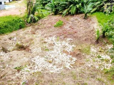INVESTMENT OPPORTUNITY: LOT FOR SALE IN JARDINES DE MORETE, UVITA – 0.5 ACRES, photo 26