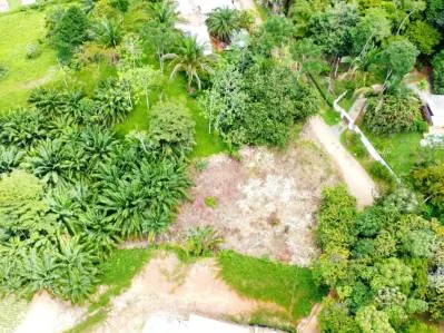INVESTMENT OPPORTUNITY: LOT FOR SALE IN JARDINES DE MORETE, UVITA – 0.5 ACRES, photo 29