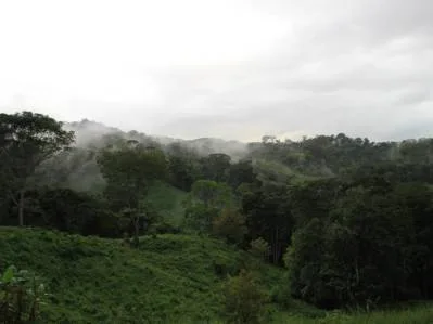Propiedad con Vista al Océano y Montaña, con Bed & Breakfast, Viviendas y Amplio Terreno en Uvita, photo 10