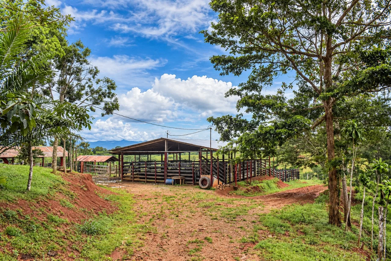 222-Hectare Large-Scale Cattle Ranch with 12 Natural Springs, Extensive Public Road Frontage & Development Potential, photo 5
