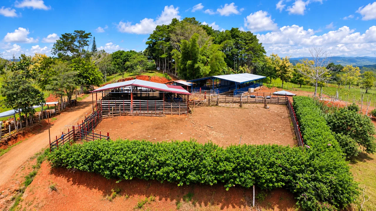 222-Hectare Large-Scale Cattle Ranch with 12 Natural Springs, Extensive Public Road Frontage & Development Potential, photo 6