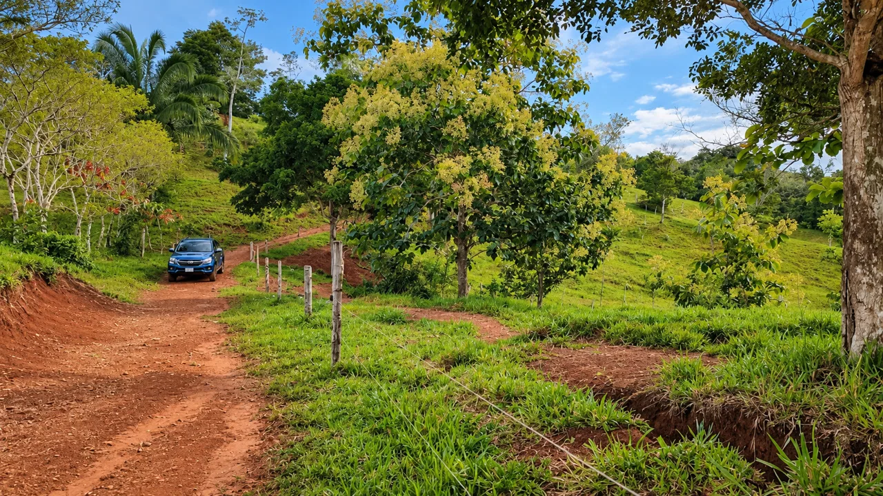 222-Hectare Large-Scale Cattle Ranch with 12 Natural Springs, Extensive Public Road Frontage & Development Potential, photo 8