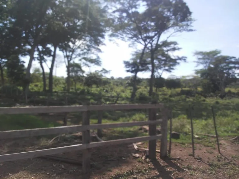 Large commercial property for sale in the Papagayo area, close to the Marina Papagayo or Four Season luxury hotel , photo 2