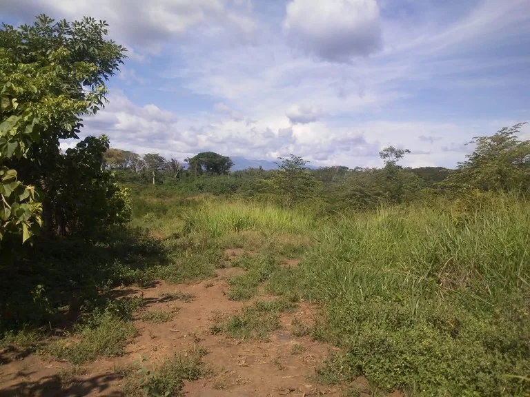 Large commercial property for sale in the Papagayo area, close to the Marina Papagayo or Four Season luxury hotel , photo 3