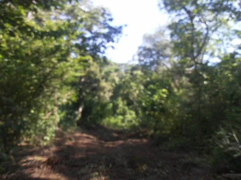 Large commercial property for sale in the Papagayo area, close to the Marina Papagayo or Four Season luxury hotel , photo 5