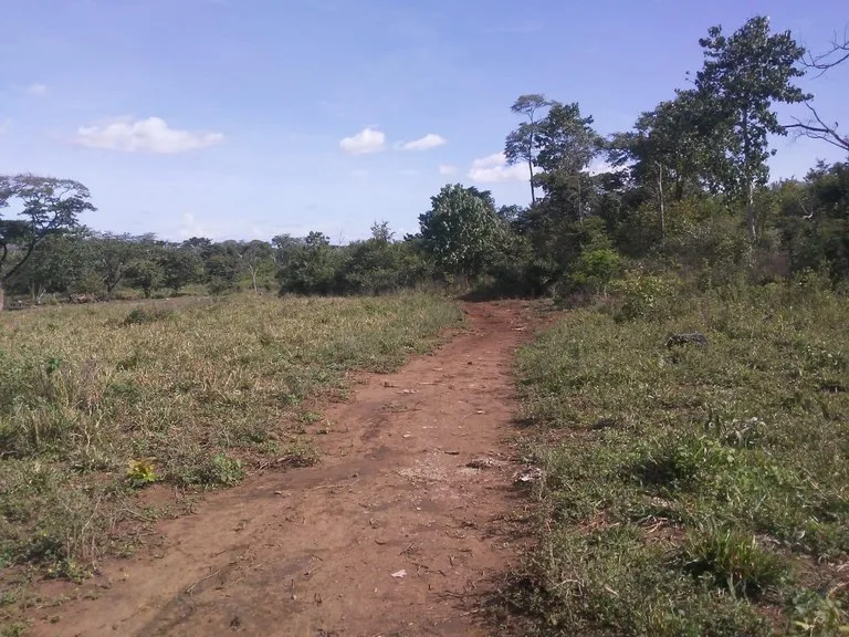 Large commercial property for sale in the Papagayo area, close to the Marina Papagayo or Four Season luxury hotel , photo 6