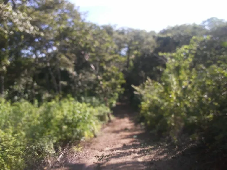 Large commercial property for sale in the Papagayo area, close to the Marina Papagayo or Four Season luxury hotel , photo 7