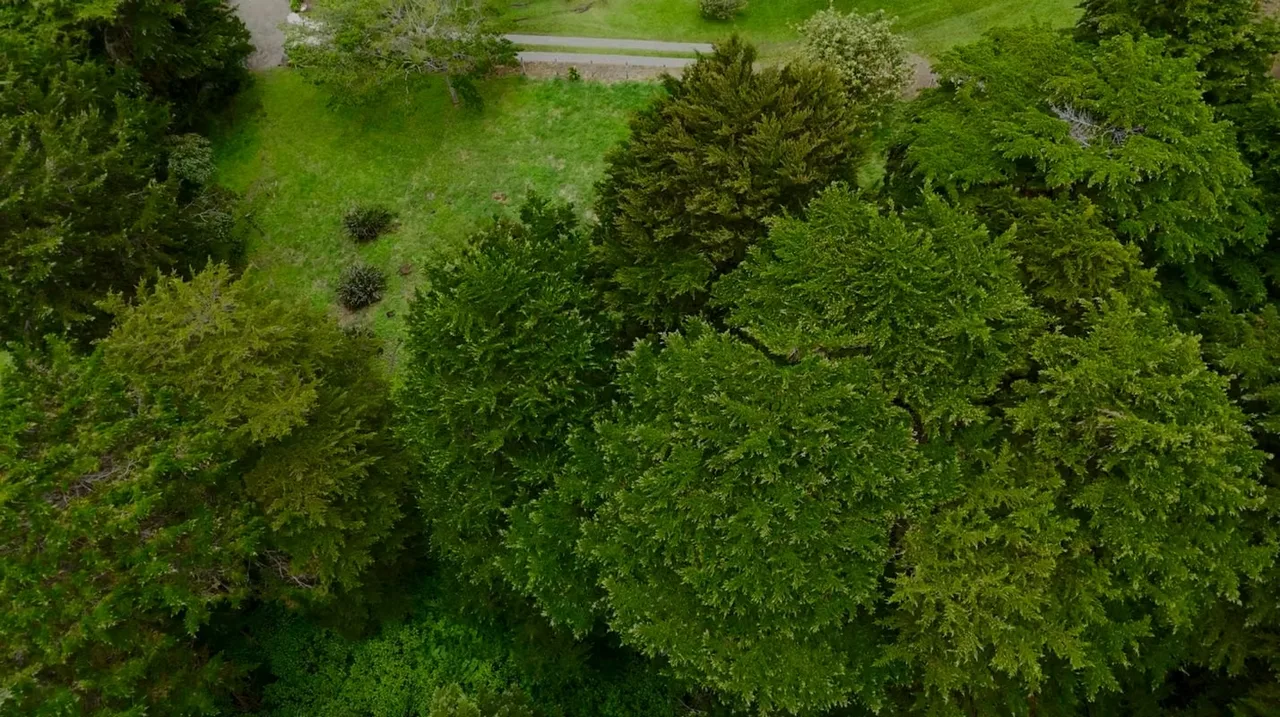 Descubre una oportunidad única con este amplio terreno en venta, ubicado en la encantadora zona de San Isidro, Heredia. Con un área de 10,272.52 m², este espacio ofrece tranquilidad ...