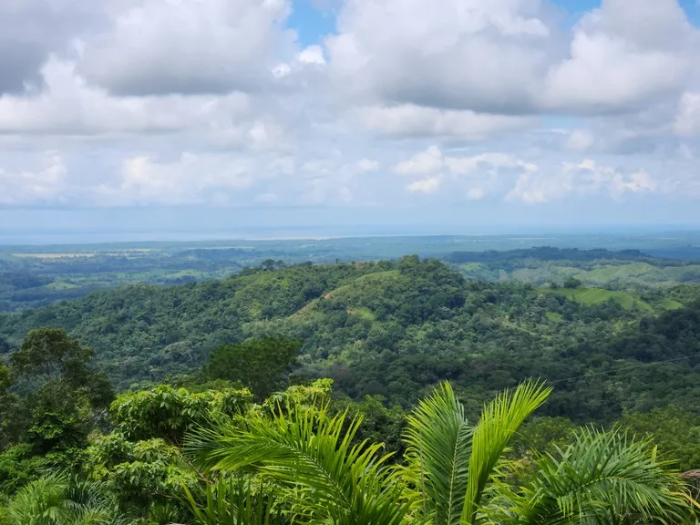 PRIME PARRITA FARM FOR SALE